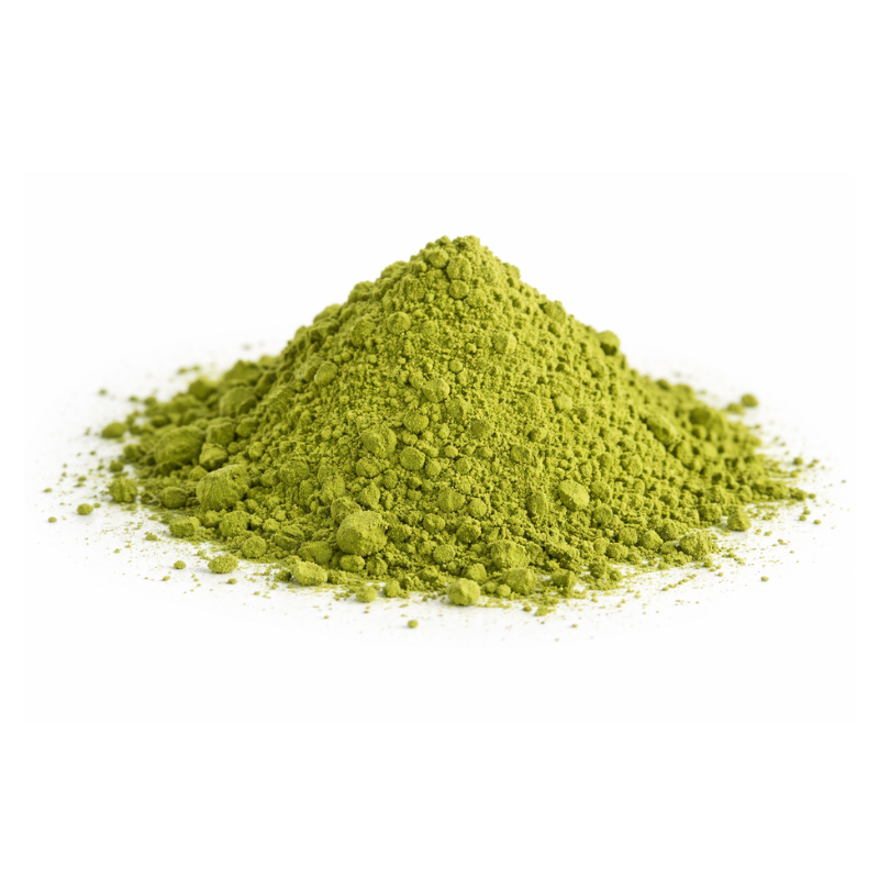 Diseño sin título - 2026-02-20T134448.350